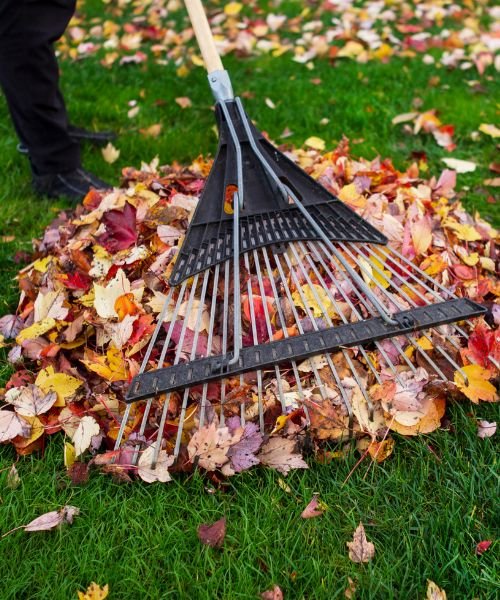 Garden_Cleaning_Cantabria_Servicios