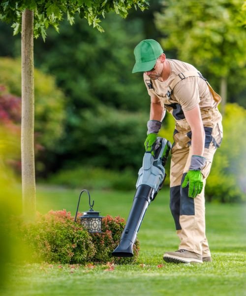 Garden_Cleaning_Cantabria_Servicios_2